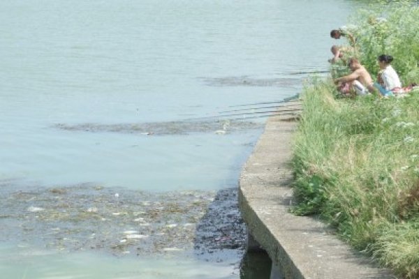 Campanie de ecologizare a Parcului Tăbăcăriei